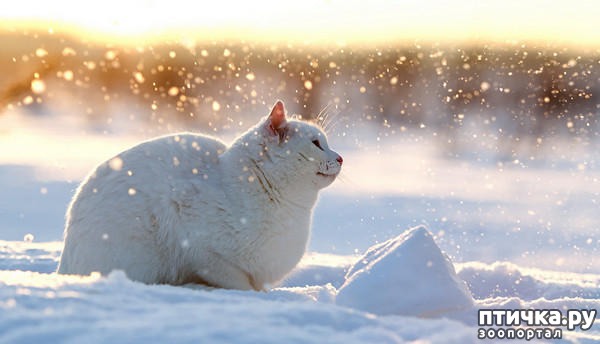 ���� 20: ���� �� �����)))