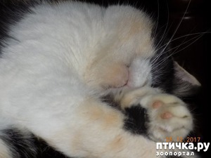 ����: ������ ����� ��������?