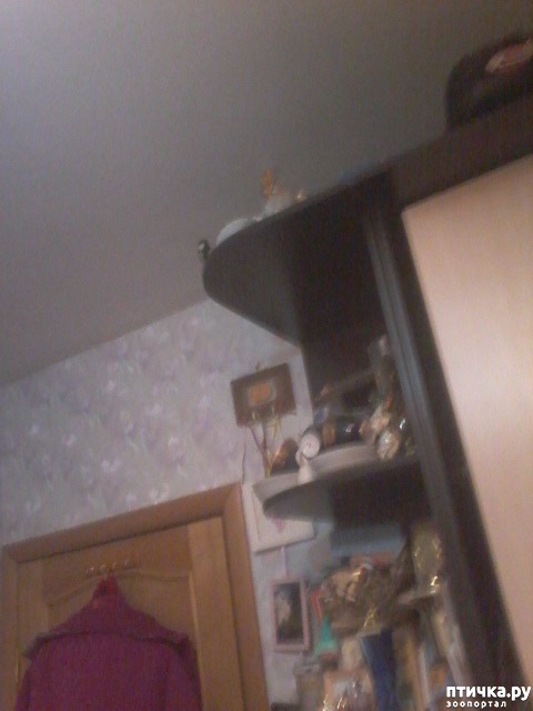 ���� 4: ������ ������