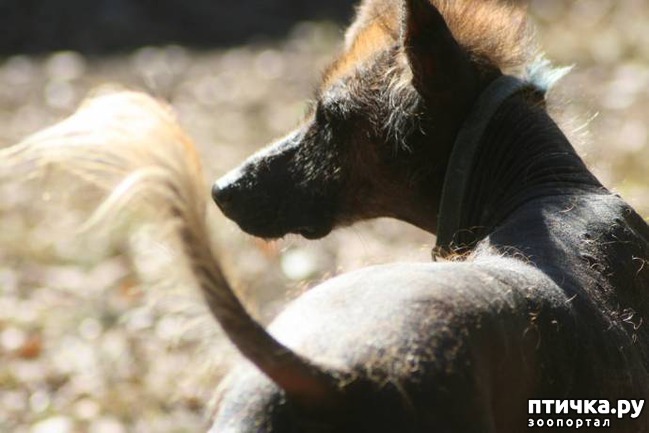 ���� 2: ��� �������� ����� ��������