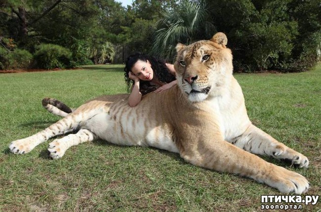 ���� 1: 17 ����� ����������� �������� ��������