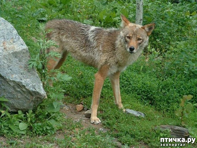 ���� 4: 17 ����� ����������� �������� ��������