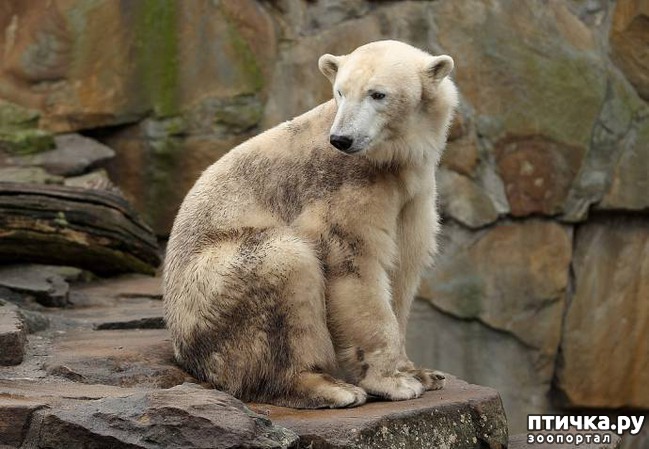 ���� 5: 17 ����� ����������� �������� ��������