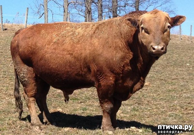 ���� 8: 17 ����� ����������� �������� ��������