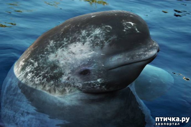 ���� 10: 17 ����� ����������� �������� ��������