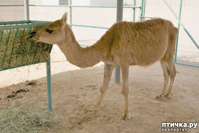 ���� 11: 17 ����� ����������� �������� ��������