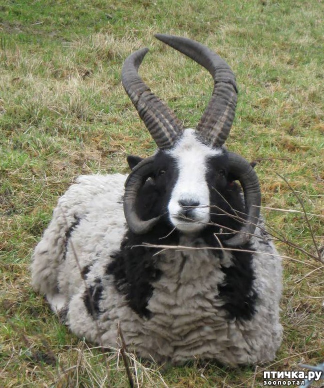 ���� 14: 17 ����� ����������� �������� ��������