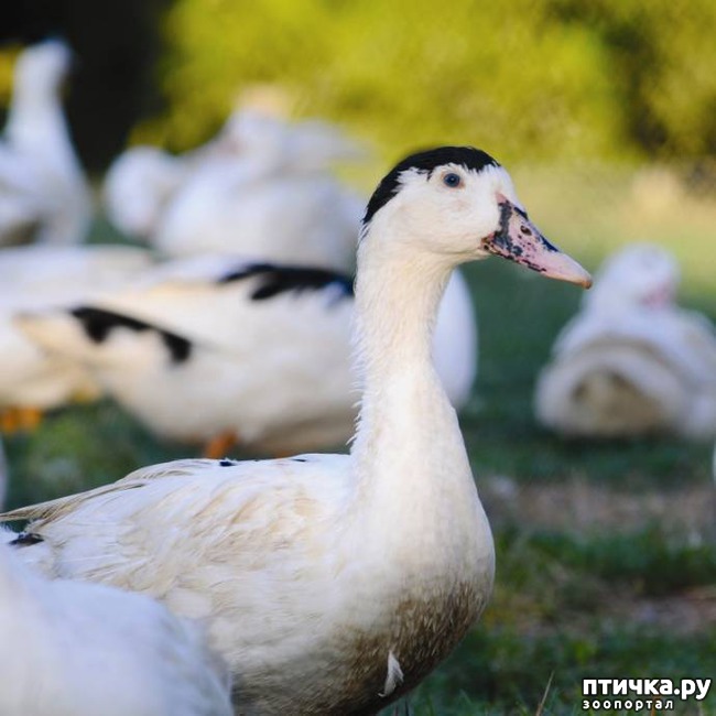 ���� 16: 17 ����� ����������� �������� ��������