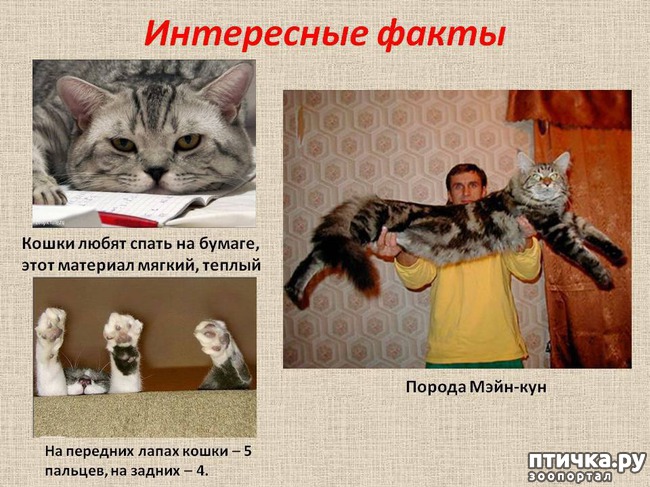 ���� 7: ���������� ����� � ������.