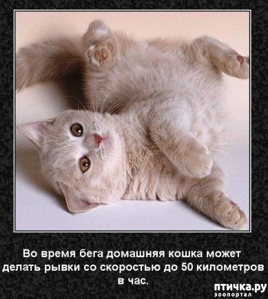 ���� 11: ���������� ����� � ������.