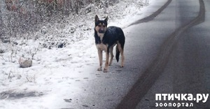 ����: ���������� ������: ��������� ��� ����� ����� �� ������ � ����� � �������� �������