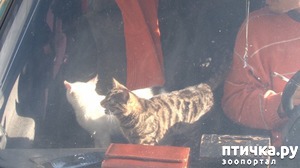 ����: � ���������� ������ ���� �����, ������� ������� � ��������� �� ������ ������� � ����������