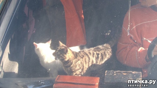 ���� 1: � ���������� ������ ���� �����, ������� ������� � ��������� �� ������ ������� � ����������