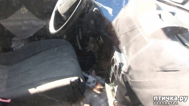 ���� 2: � ���������� ������ ���� �����, ������� ������� � ��������� �� ������ ������� � ����������