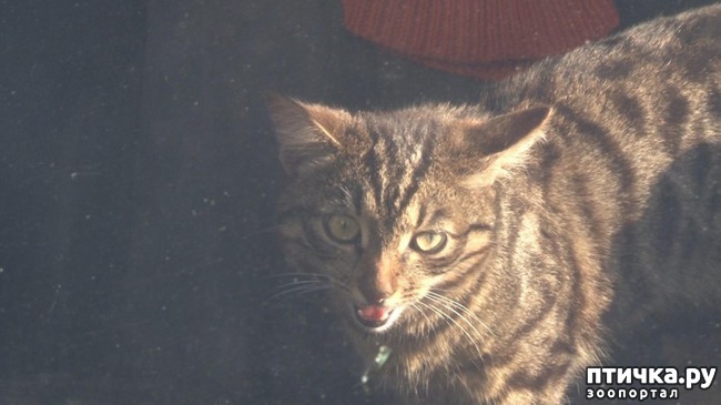 ���� 3: � ���������� ������ ���� �����, ������� ������� � ��������� �� ������ ������� � ����������