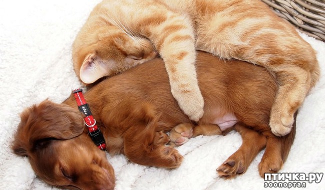 ���� 1: ���� ������� �� ��� ����������� � �����