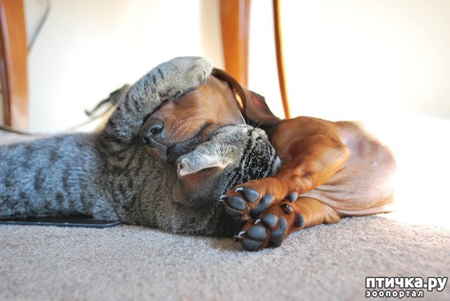 ���� 2: ���� ������� �� ��� ����������� � �����