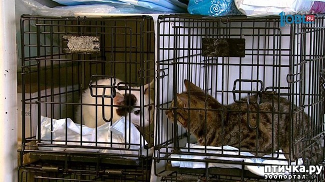 ���� 4: � ���������� ������ ���� �����, ������� ������� � ��������� �� ������ ������� � ����������