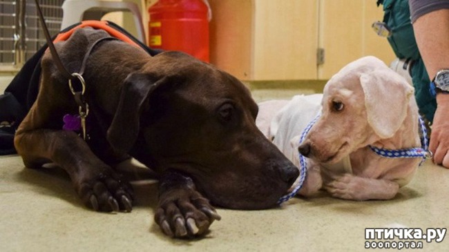 ���� 1: ����� ���� �������� ���� ����