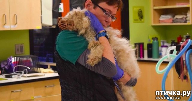 ���� 2: ����� ���� �������� ���� ����