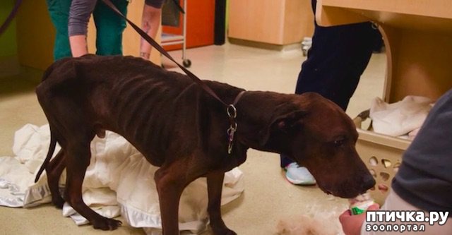 ���� 3: ����� ���� �������� ���� ����