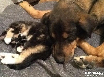 ���� 1: ������� ������ ������ � �����.