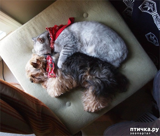 ���� 9: ���� ������� �� ��� ����������� � �����