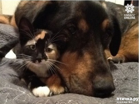 ���� 2: ������� ������ ������ � �����.