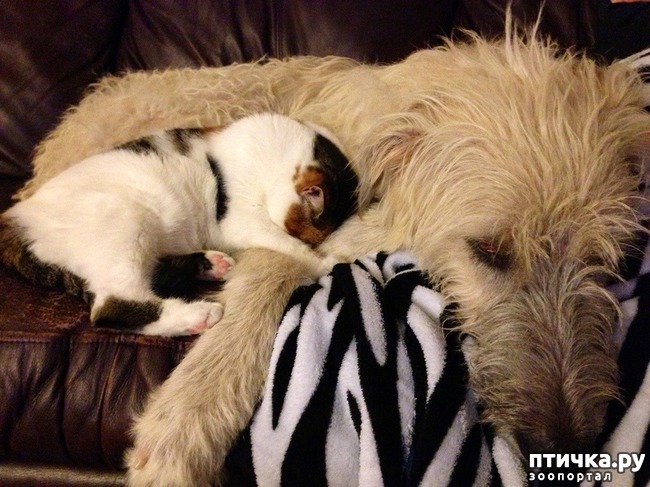 ���� 10: ���� ������� �� ��� ����������� � �����