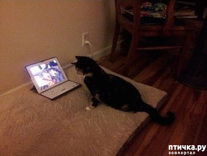 ���� 4: ������� ������ ������ � �����.