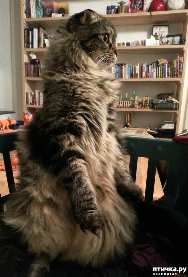 ���� 5: ����, ������� ������� ����� ������� � ������))