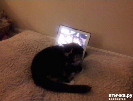 ���� 5: ������� ������ ������ � �����.