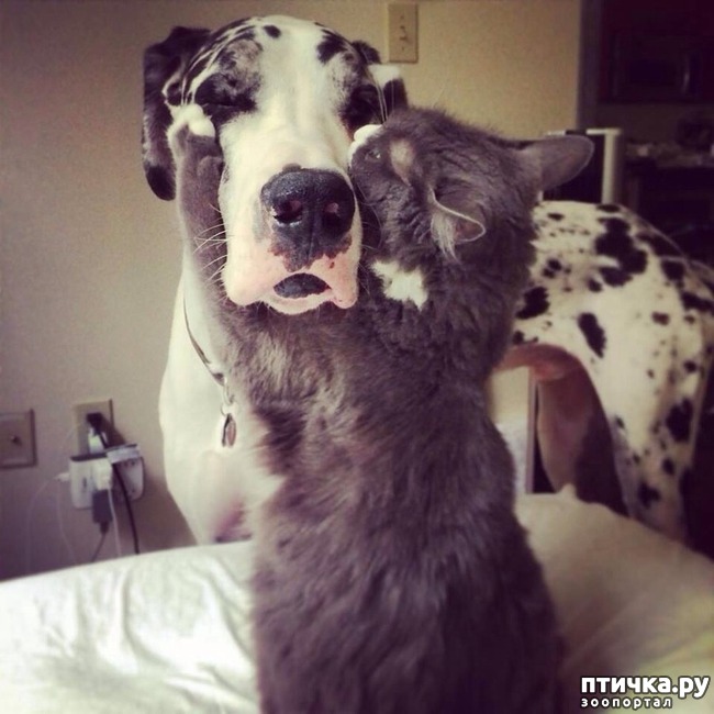 ���� 12: ���� ������� �� ��� ����������� � �����