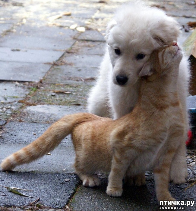 ���� 13: ���� ������� �� ��� ����������� � �����