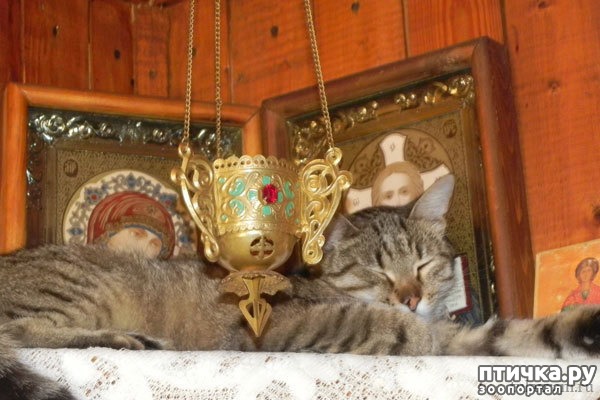 ���� 2: ����� � �����������