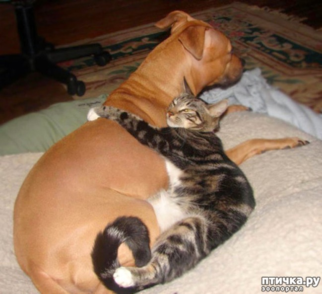 ���� 15: ���� ������� �� ��� ����������� � �����