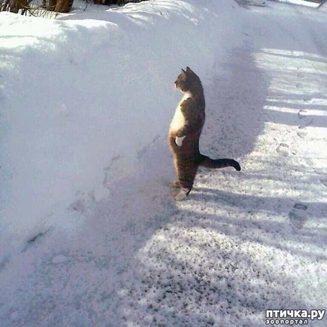 ���� 13: ����, ������� ������� ����� ������� � ������))