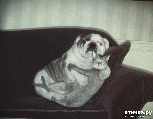 ���� 16: ���� ������� �� ��� ����������� � �����