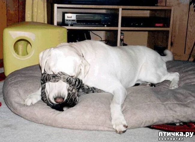 ���� 17: ���� ������� �� ��� ����������� � �����