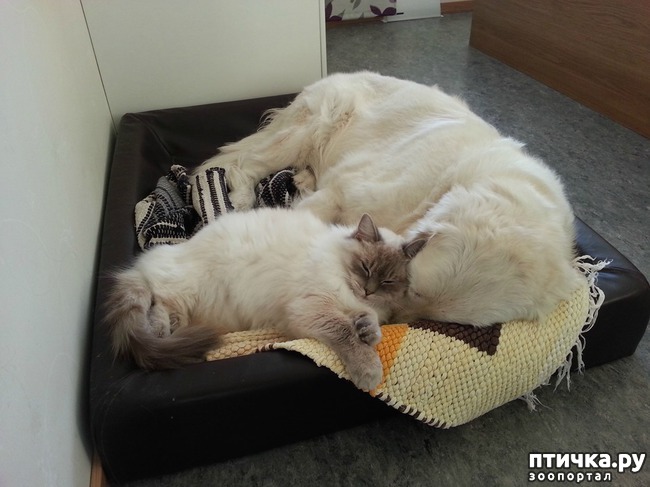 ���� 19: ���� ������� �� ��� ����������� � �����