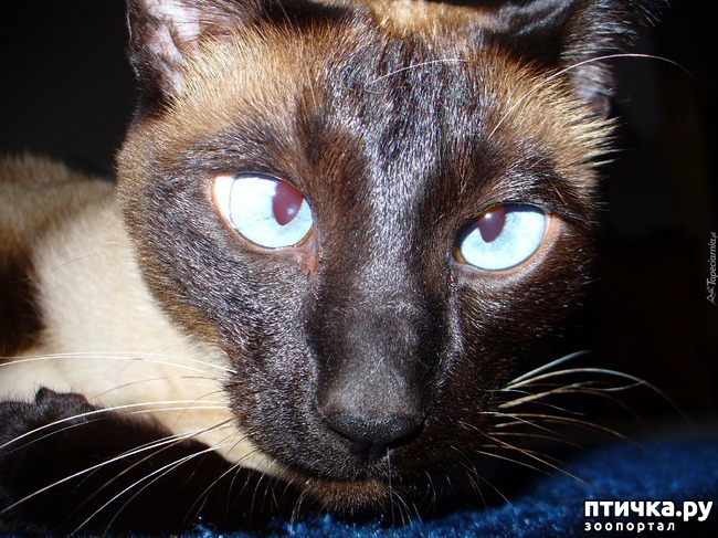 ���� 5: ���������� ����� � ������. ������ �������� �����.