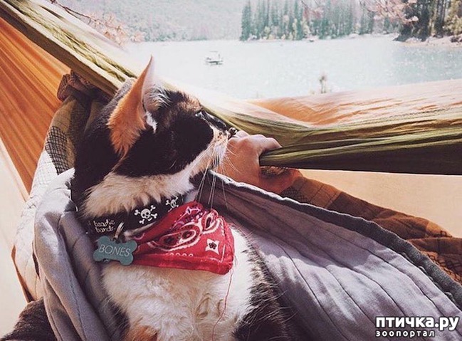 ���� 1: ���������� ����� � ������. �����-���������������.