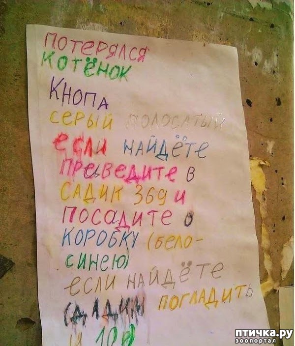 ���� 1: ����� ������������ ����