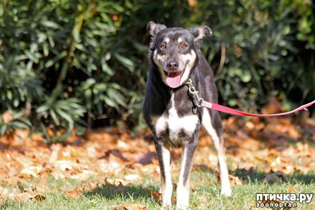 ���� 8: ������� �� �� ������� ��� ������! ��������� ����� � ������ ��� ������������ � ���������