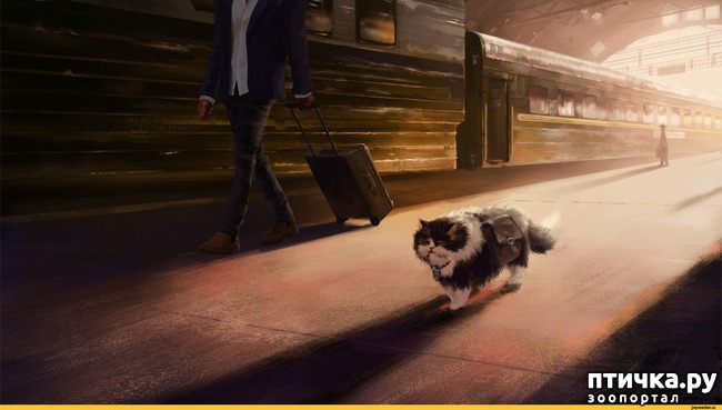 ���� 2: ���������� ����� � ������. �����-���������������.