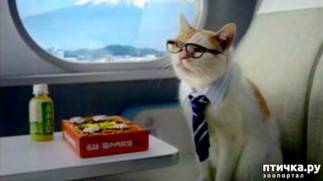 ���� 3: ���������� ����� � ������. �����-���������������.