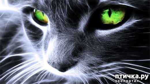 ���� 1: ����� � �������