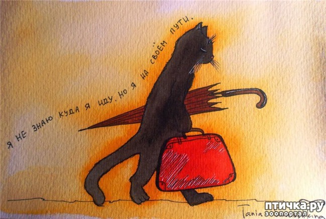 ���� 4: ���������� ����� � ������. �����-���������������.