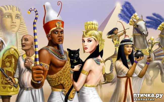 ���� 1: ��� ���� � ������