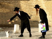 ���� 1: ����� � �������